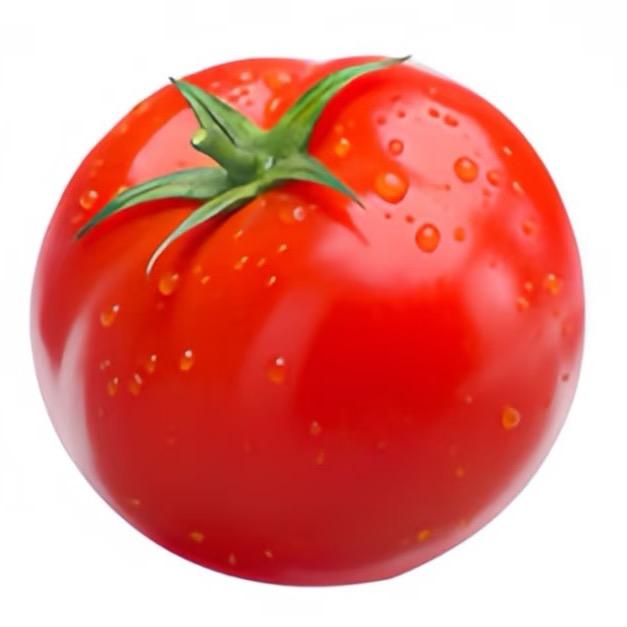 potato还是tomato 📷