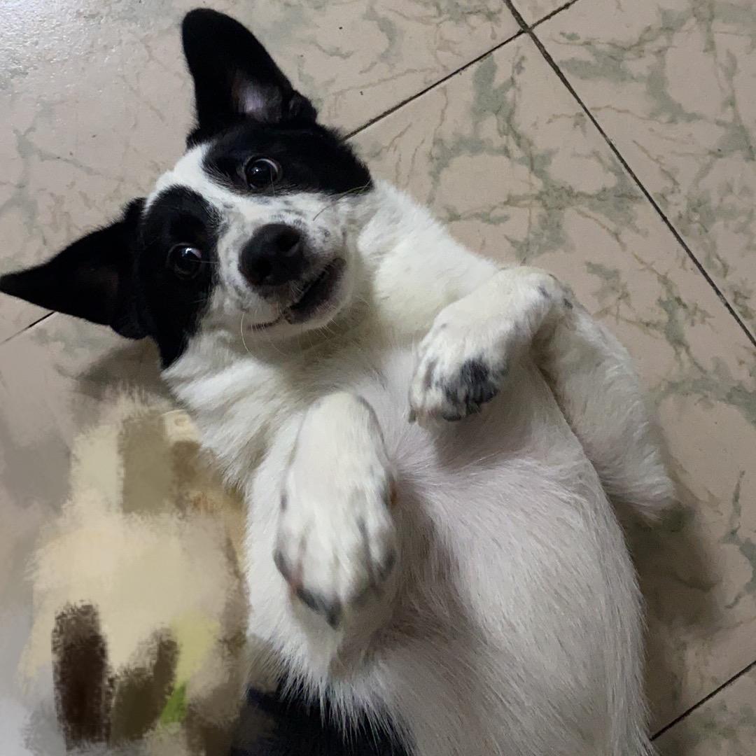 林间一隅