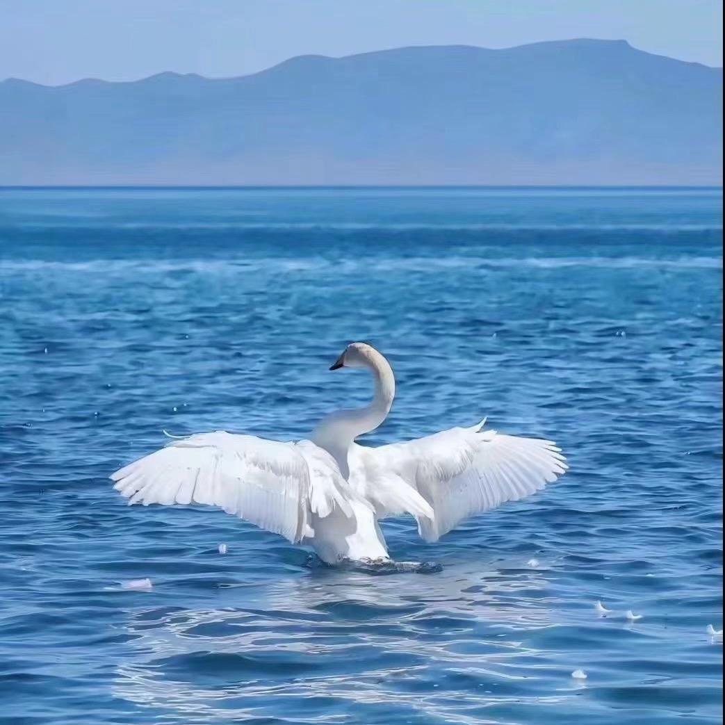 𝔽𝕆ℝ𝔼𝕍𝔼ℝ