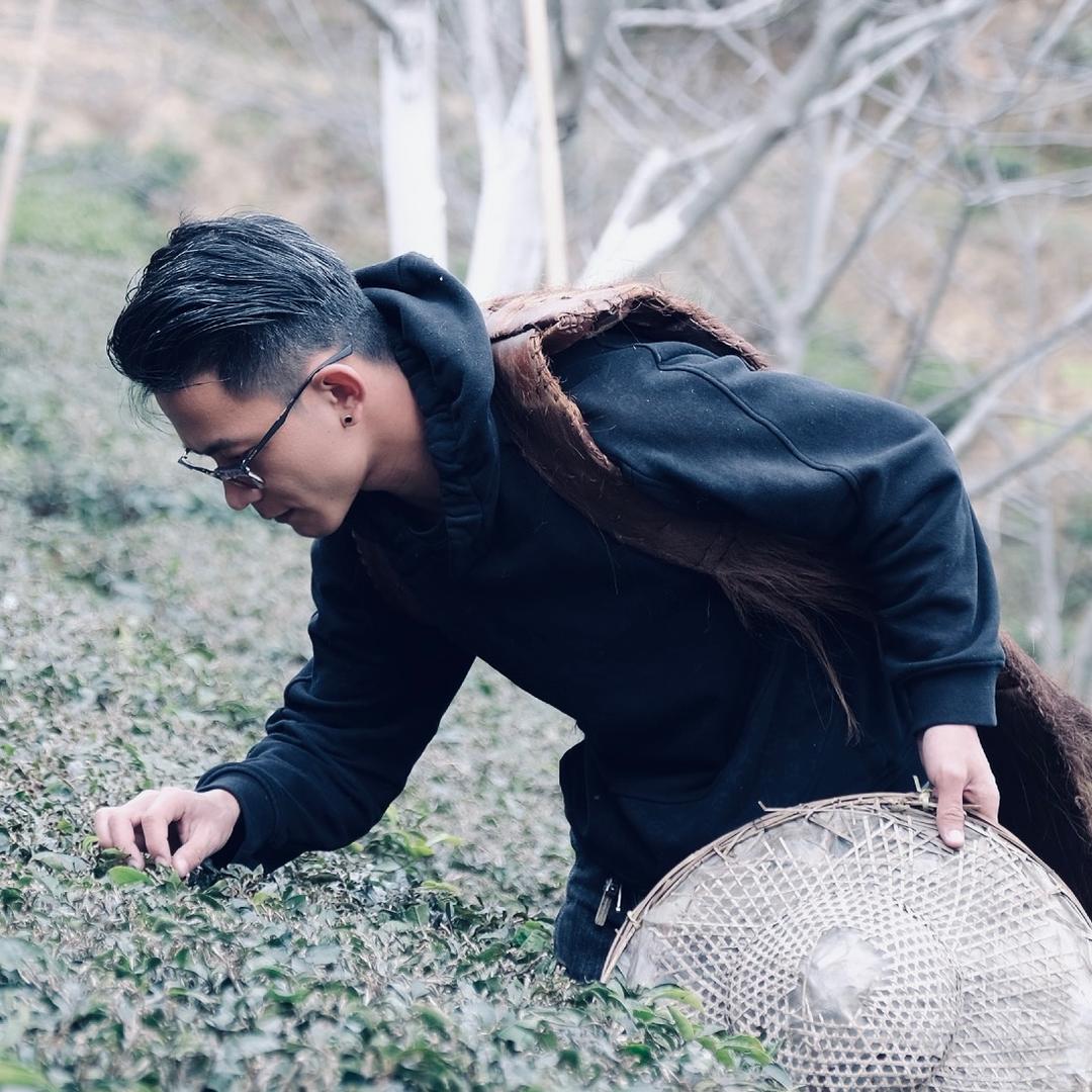 老杨鉴茶