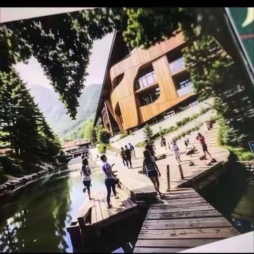 用户8221976660321