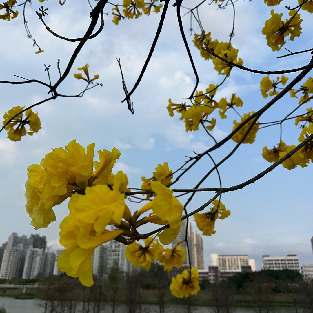 点点点1