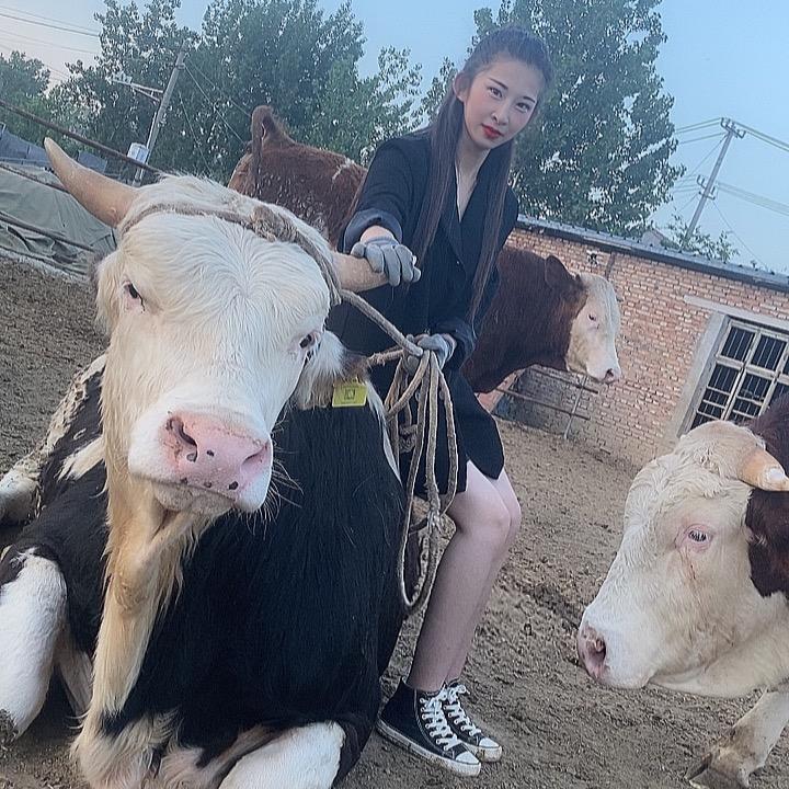 沛县莹莹牛肉店