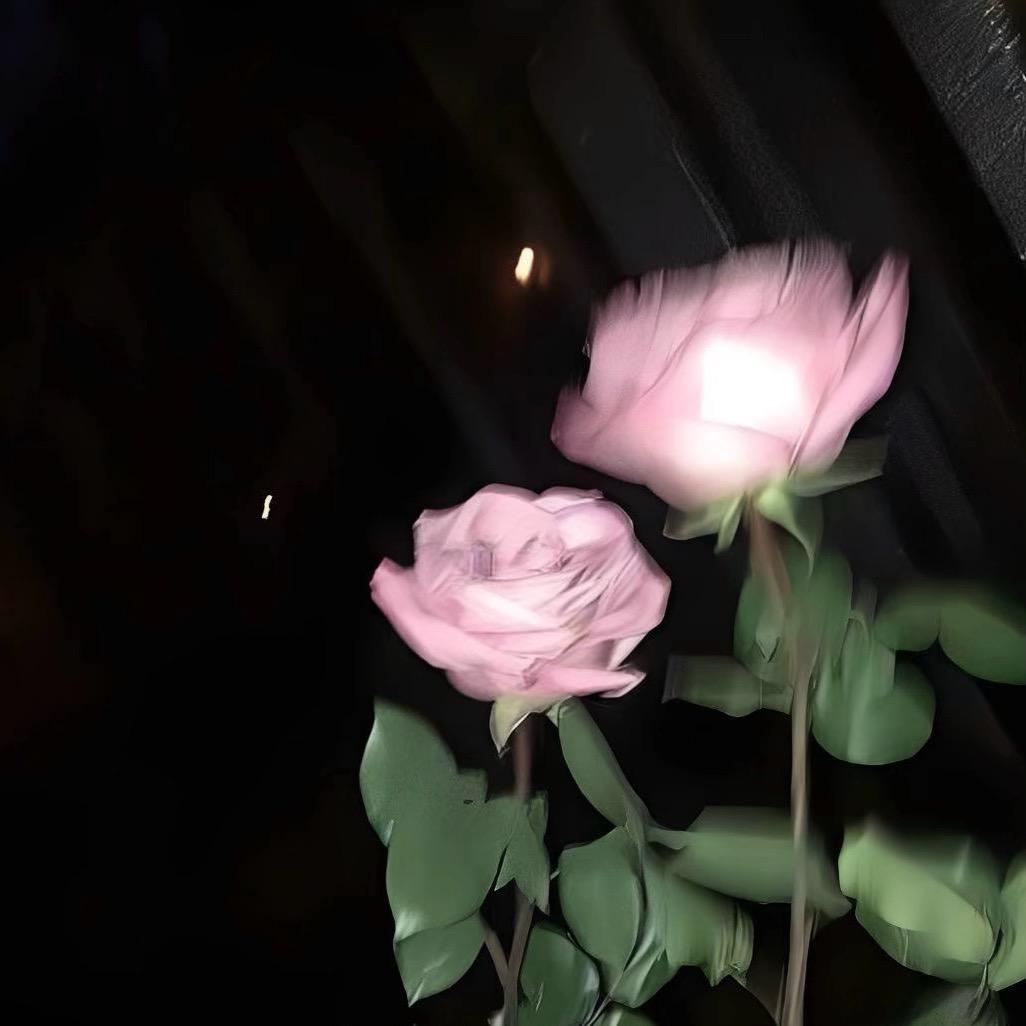 @是初初呀🎀