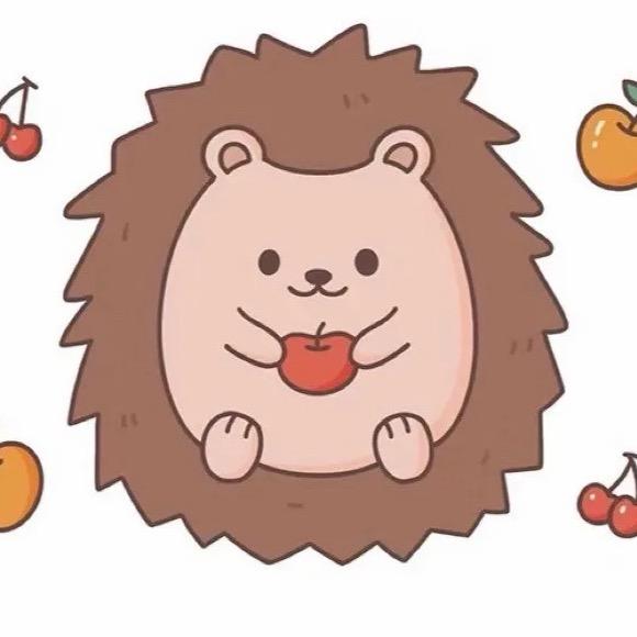 顽强的刺猬🦔