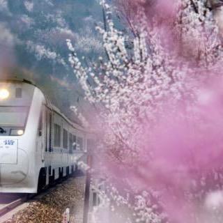 一路花海