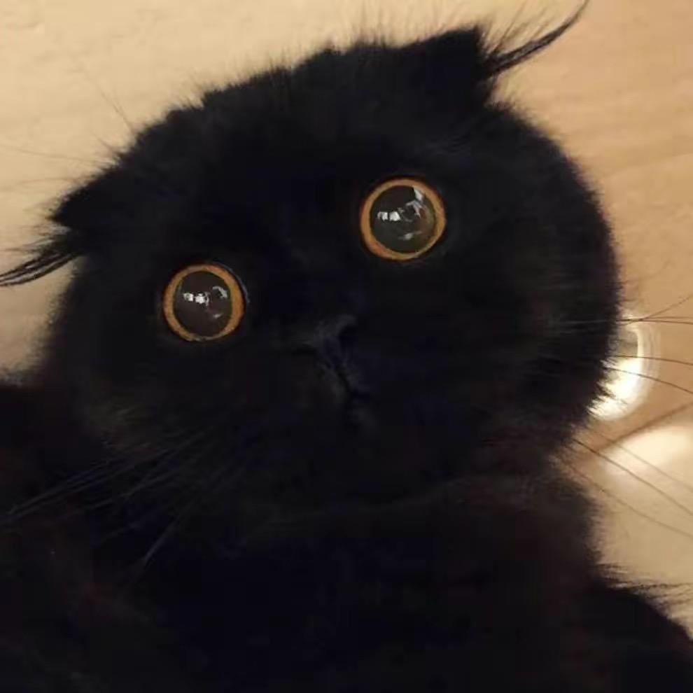 高盐值深海鱼🐠