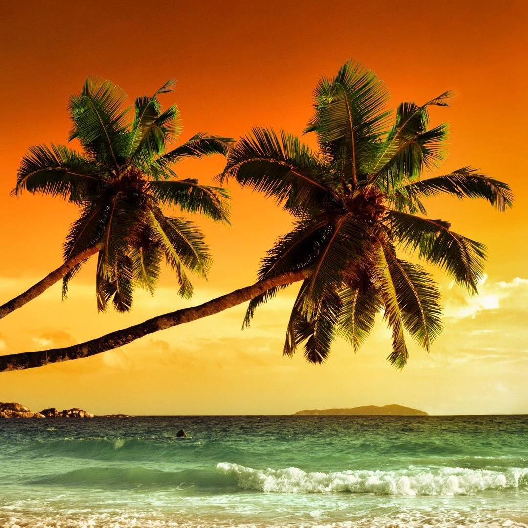 迪拜jour米尔轻奢