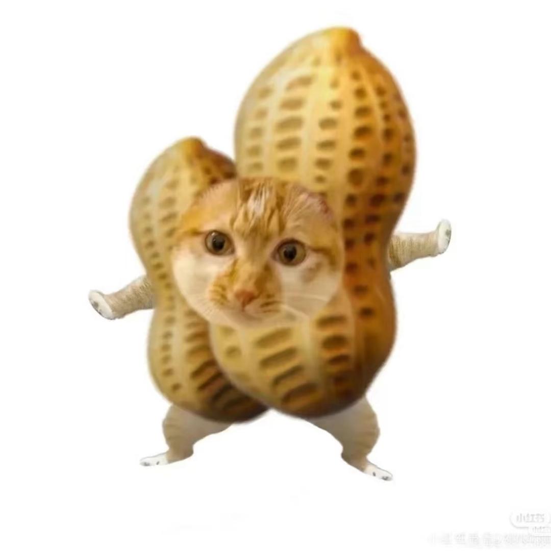 东北滴花生猫meme