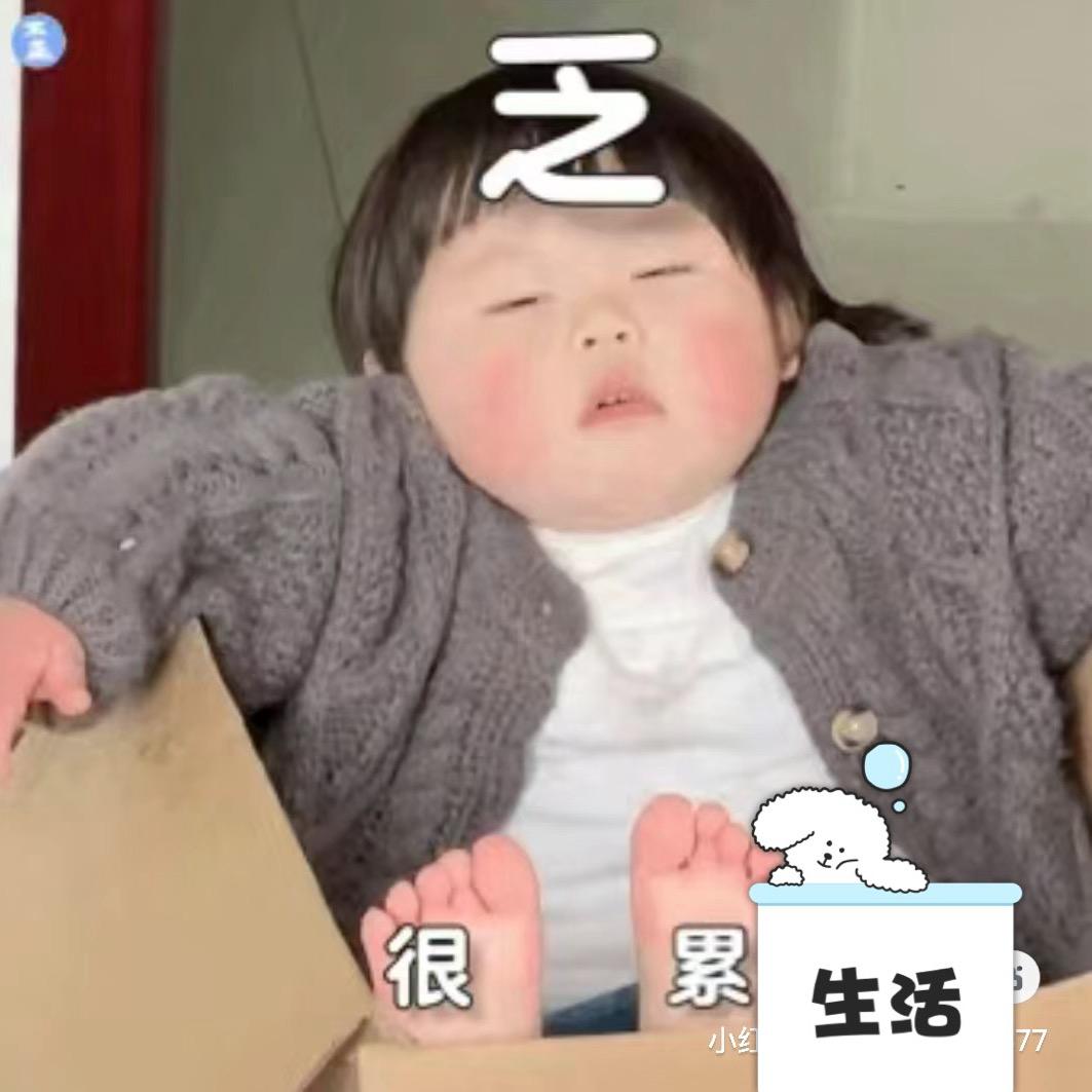 蛋壳儿