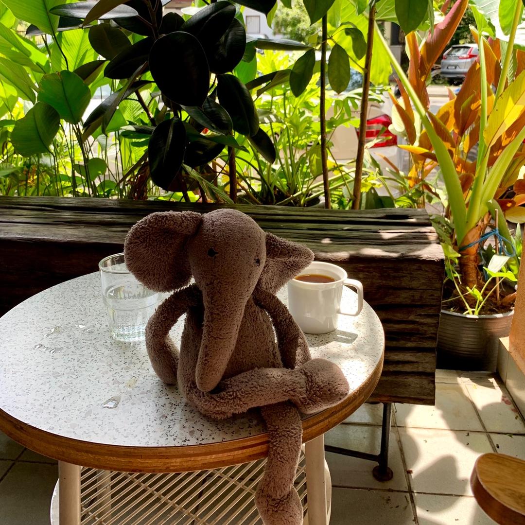 健康开心每一天