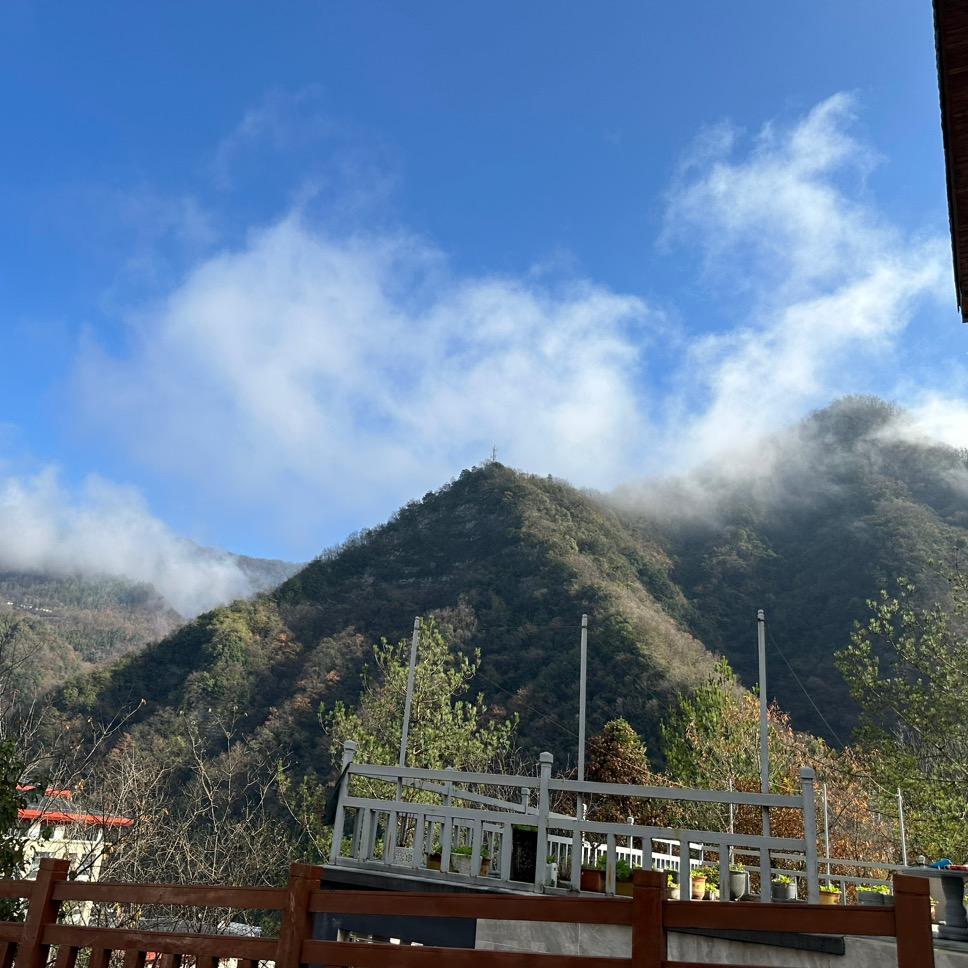 大冶岳云鹏