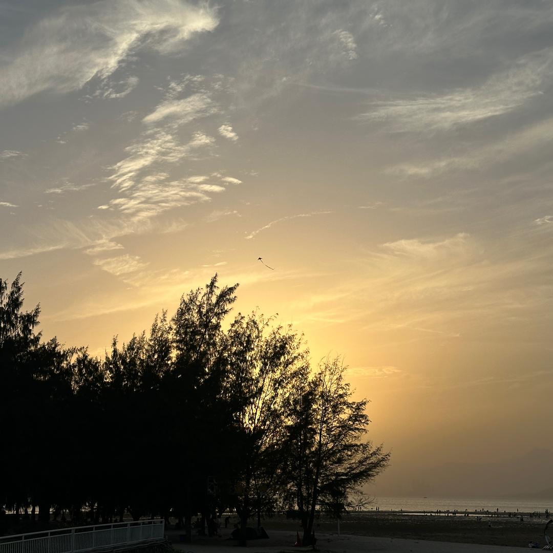 -熬夜小天才🎀