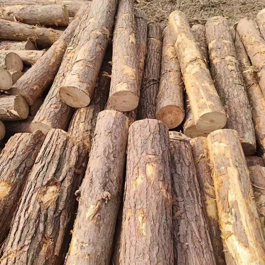 广西宁明县盛利木材加工厂