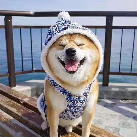 缺心吗