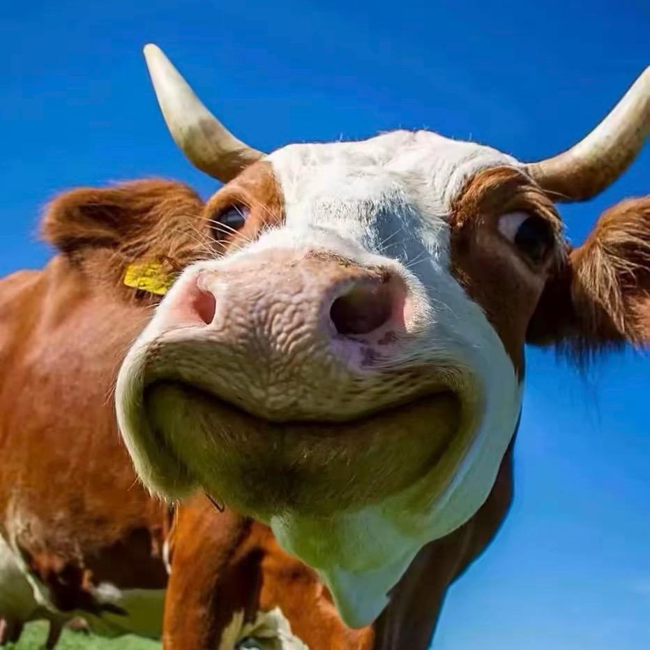 搭搭光年（女装店铺）