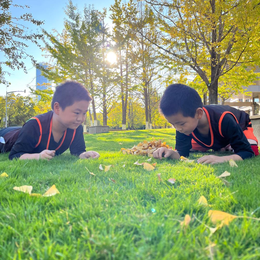 小天天同学