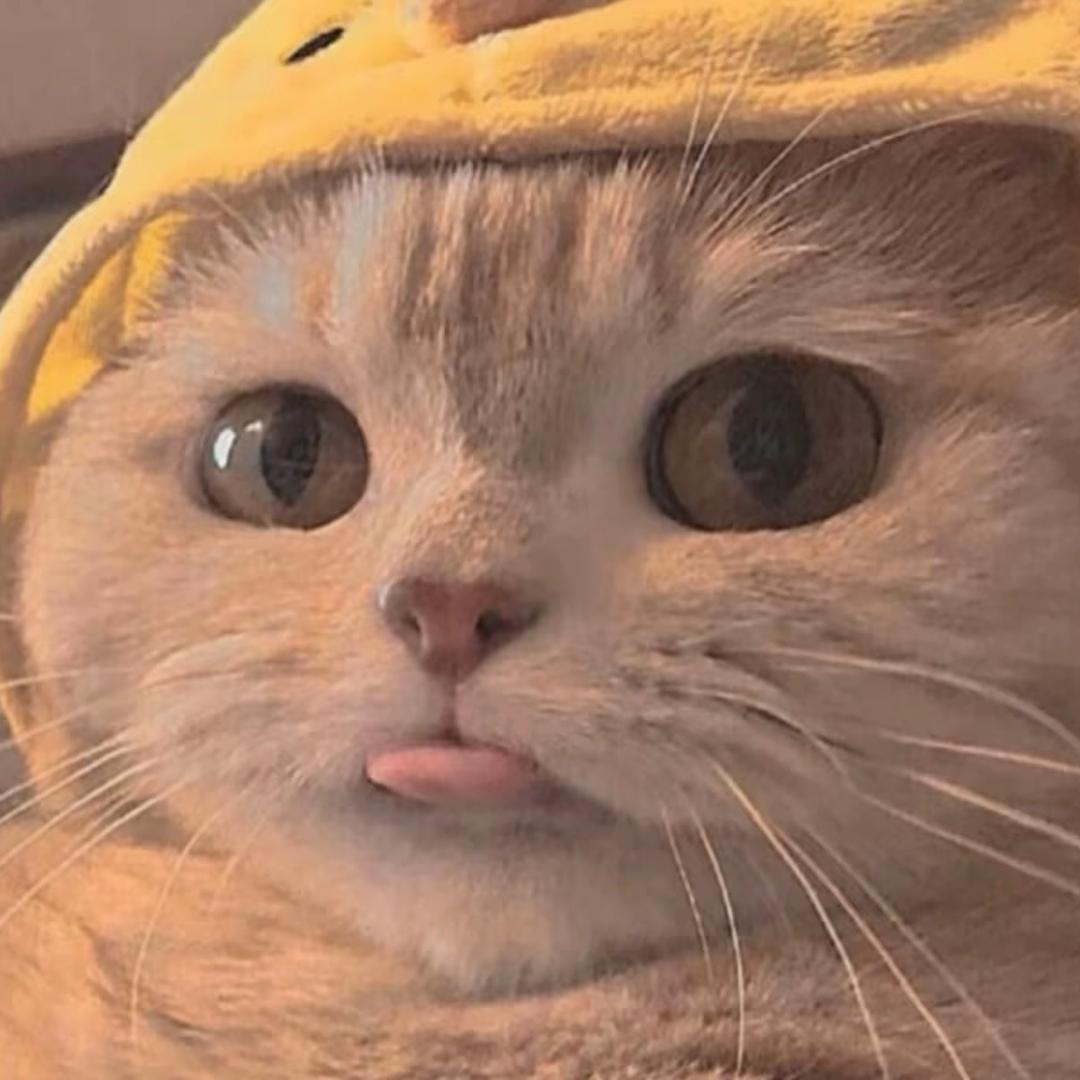 冬