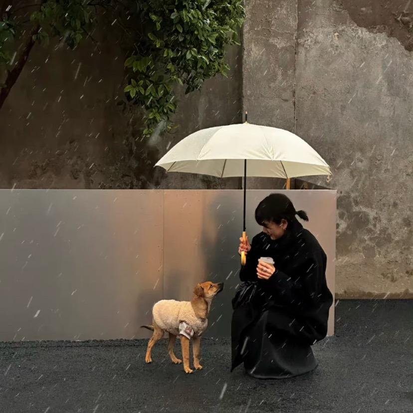 梁山鼎诚机械设备有限公司