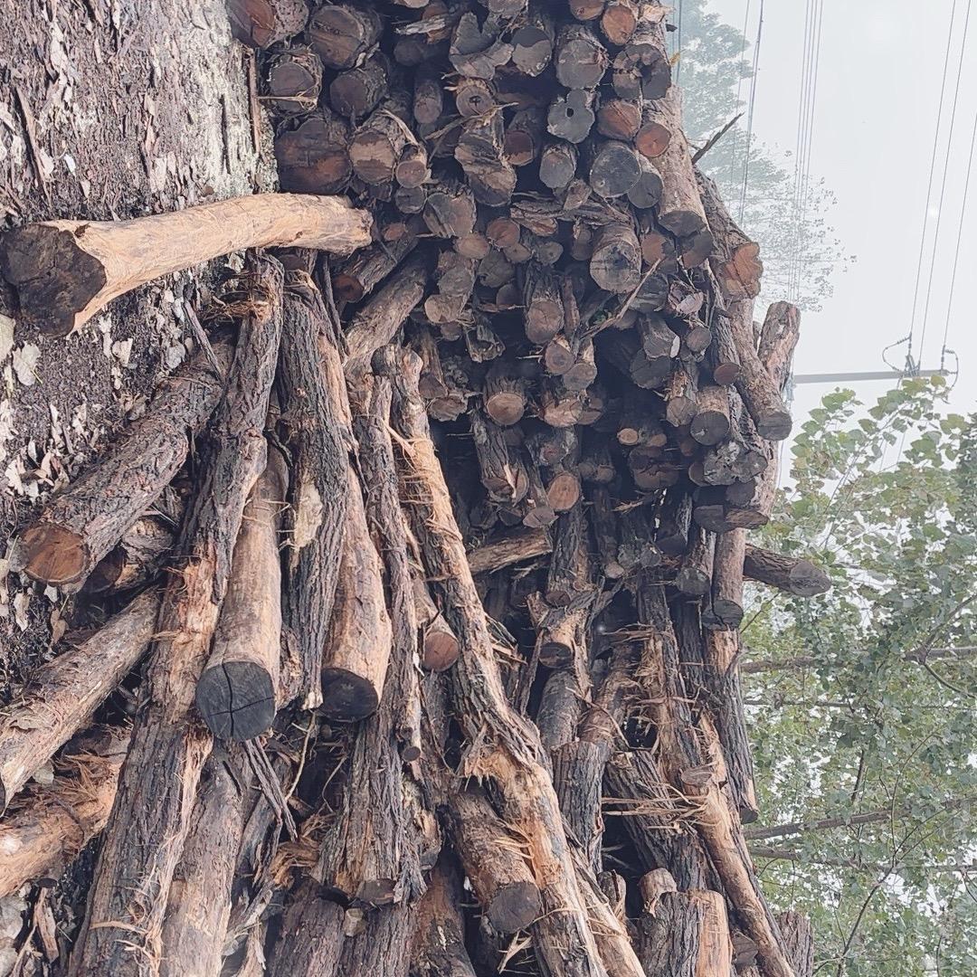 硬柴大叔（沭阳）