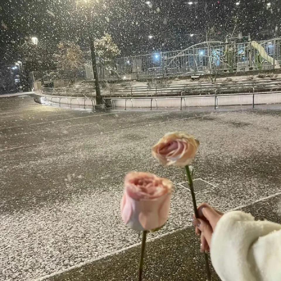 炸毛可乐🌬