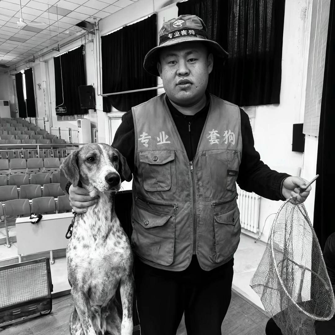 郭师傅专业套狗（高价收狗）