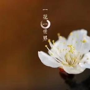 浅爱🦋