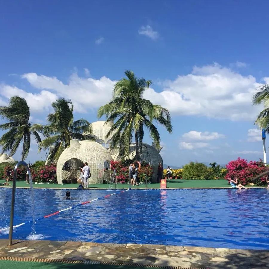🏝️🎈