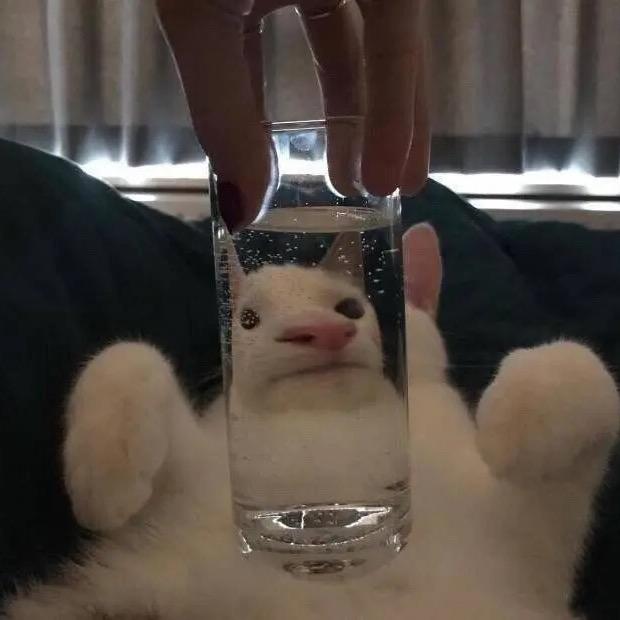 wink郭德纲