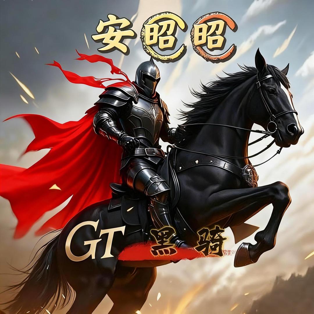 安昭昭👔ᴳᵀ（只爱GT版）