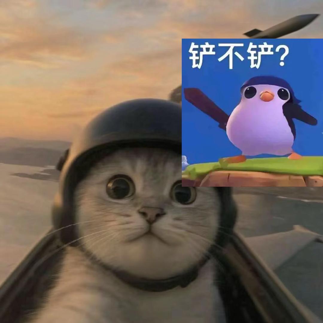 我想要有七个人给我垫分