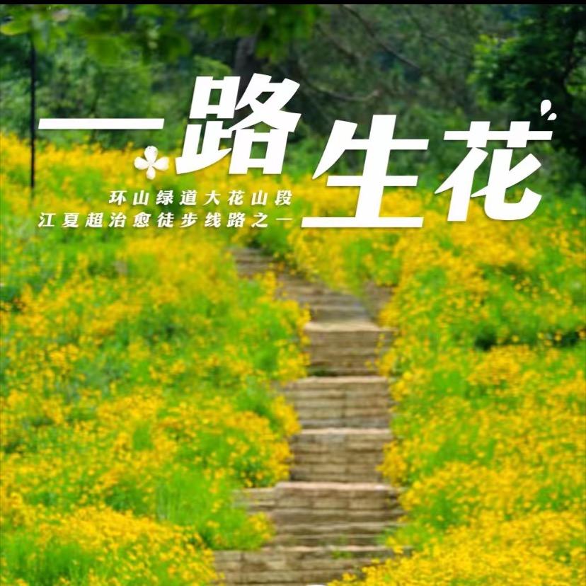 宋君羊