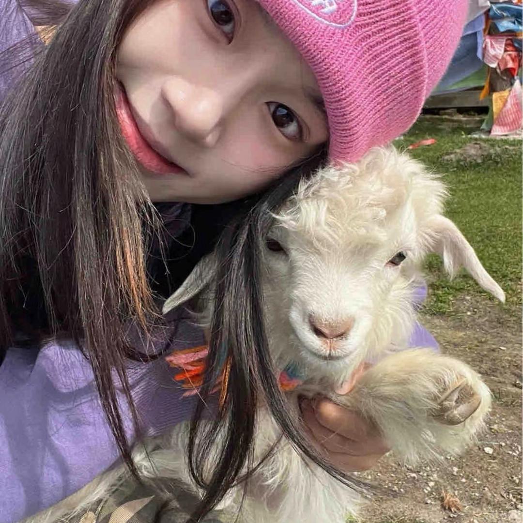 一锅鱼