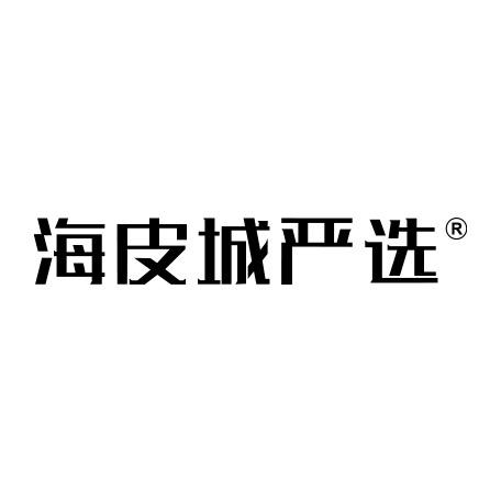 海皮城严选轻奢号