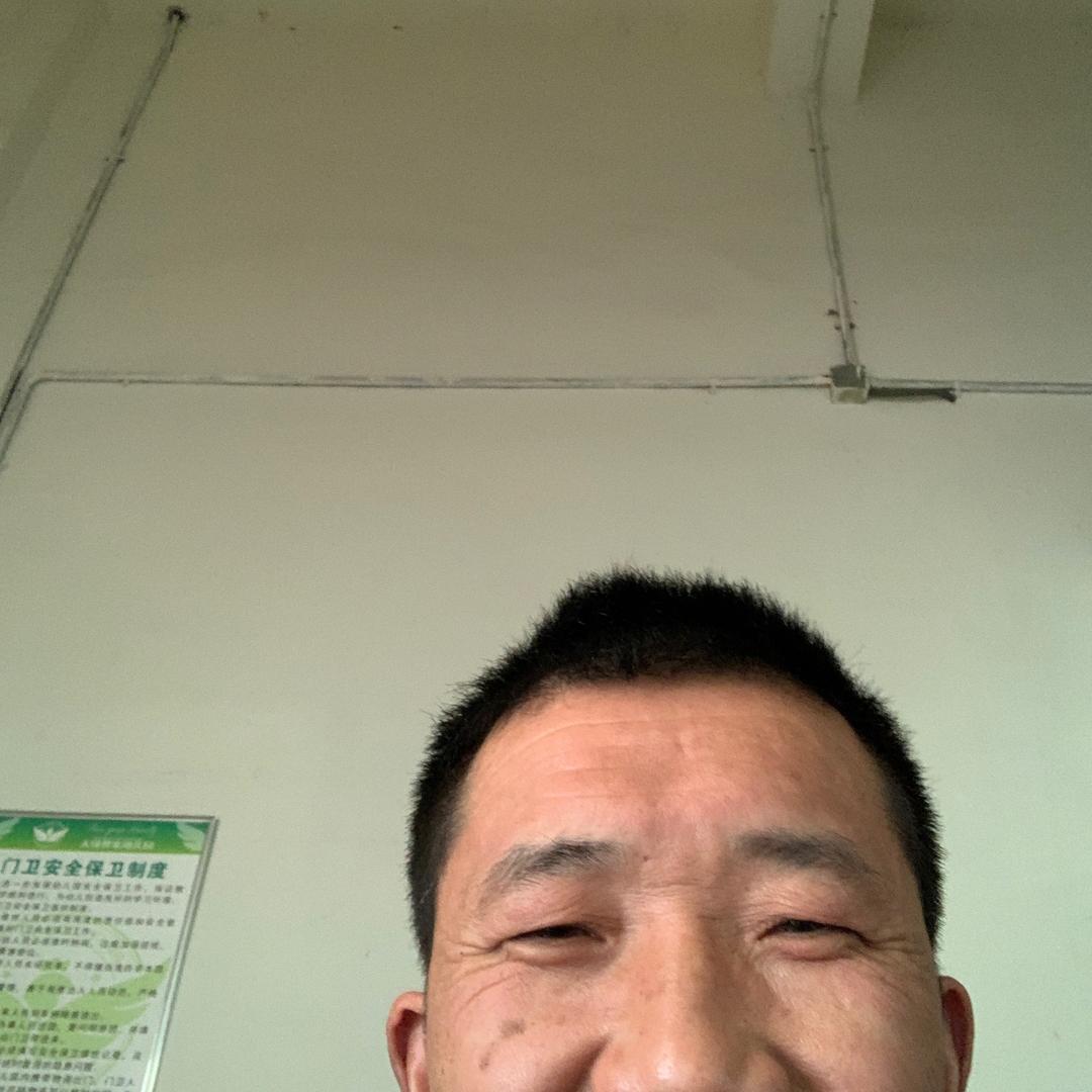 放飞自我