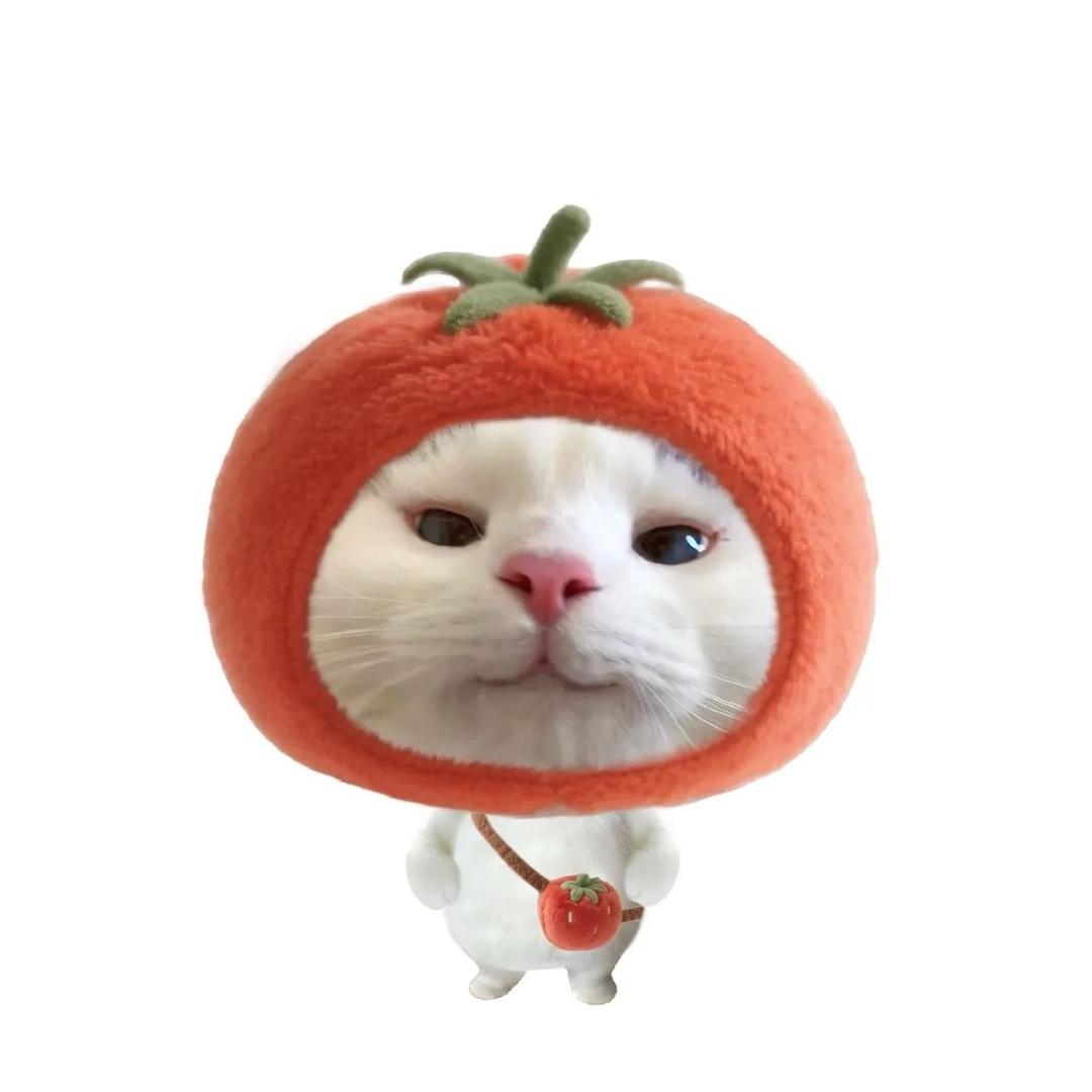 狗dei