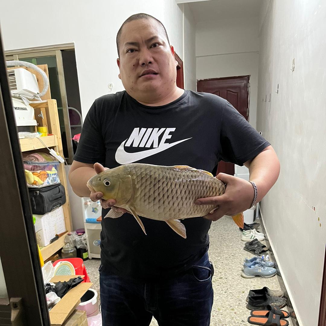 川Ｒ/陆家小姑爷