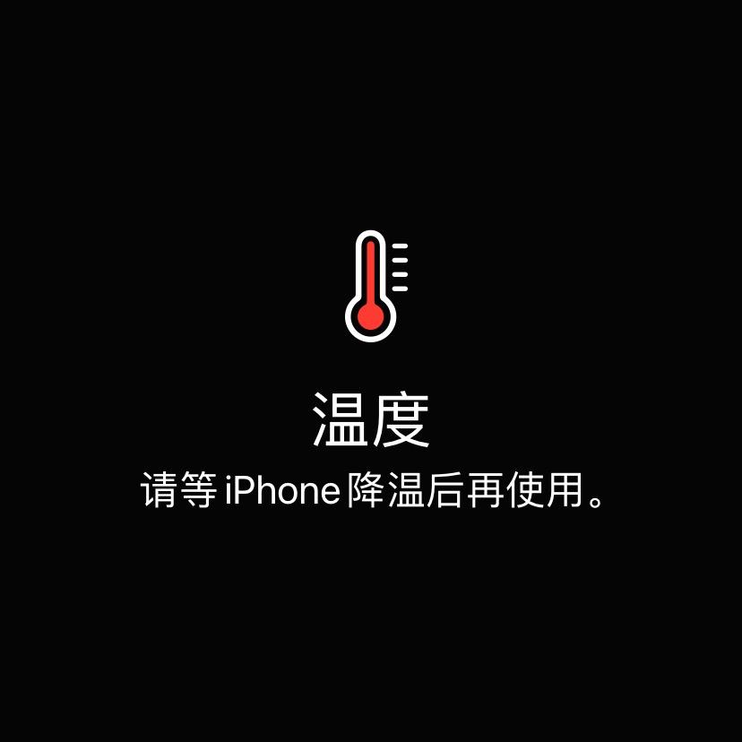 老板来份鱼丸