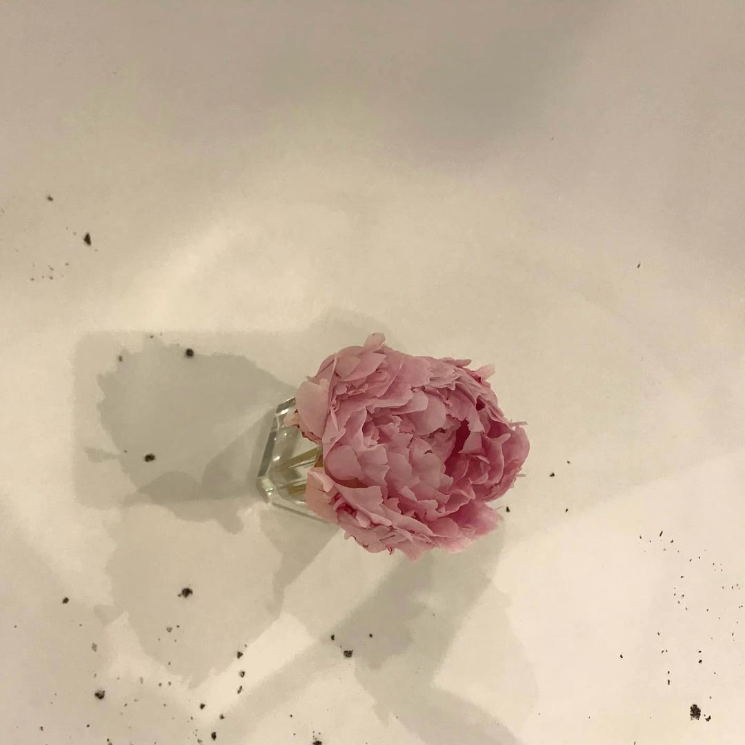 小糯米