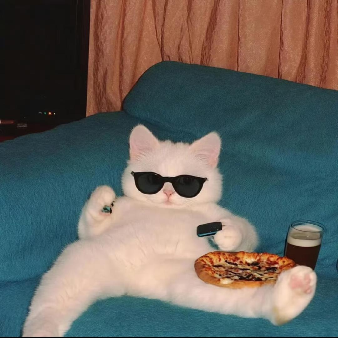 别拿我当软柿子