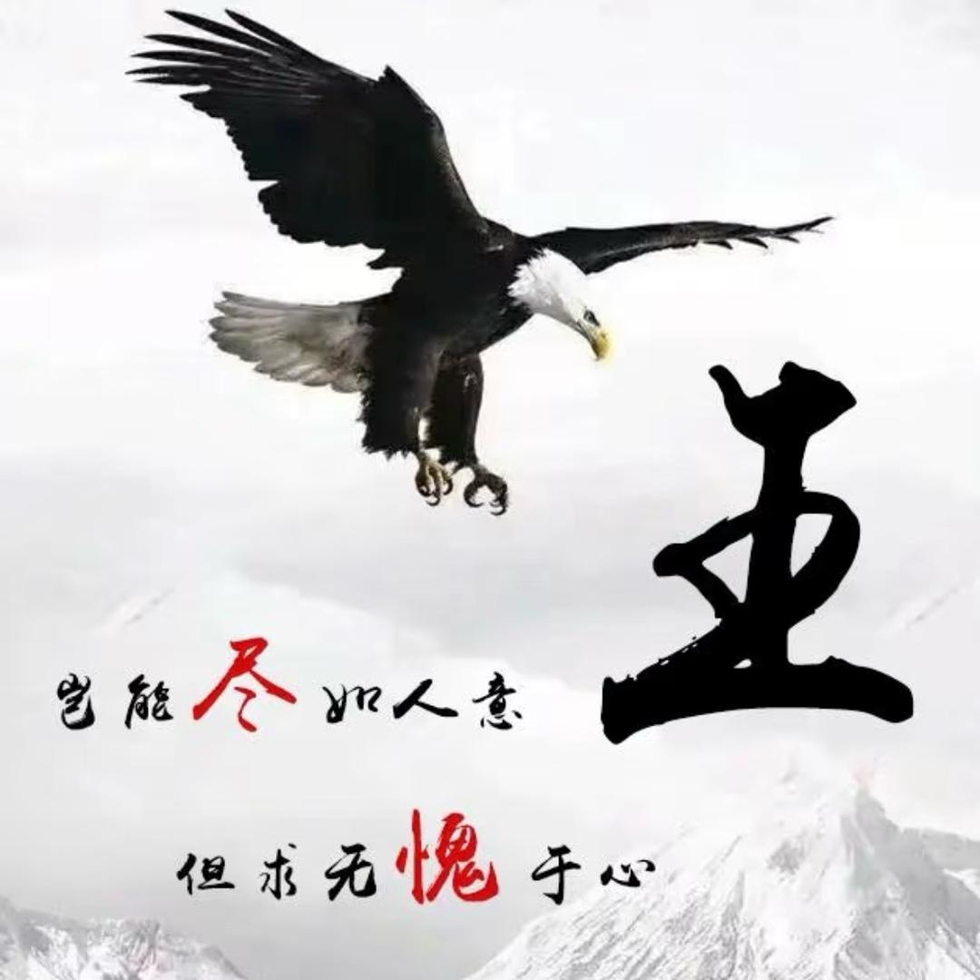 温茶清风