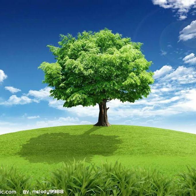 ♑️背叛的谎言💔