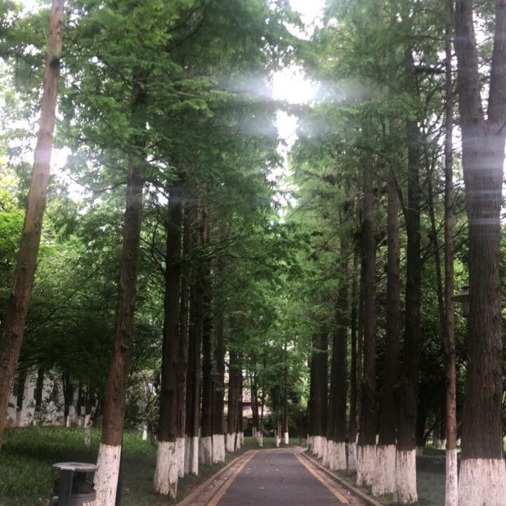 🥀প꯭转身꧓꯭陌路꧔ꦿ᭄