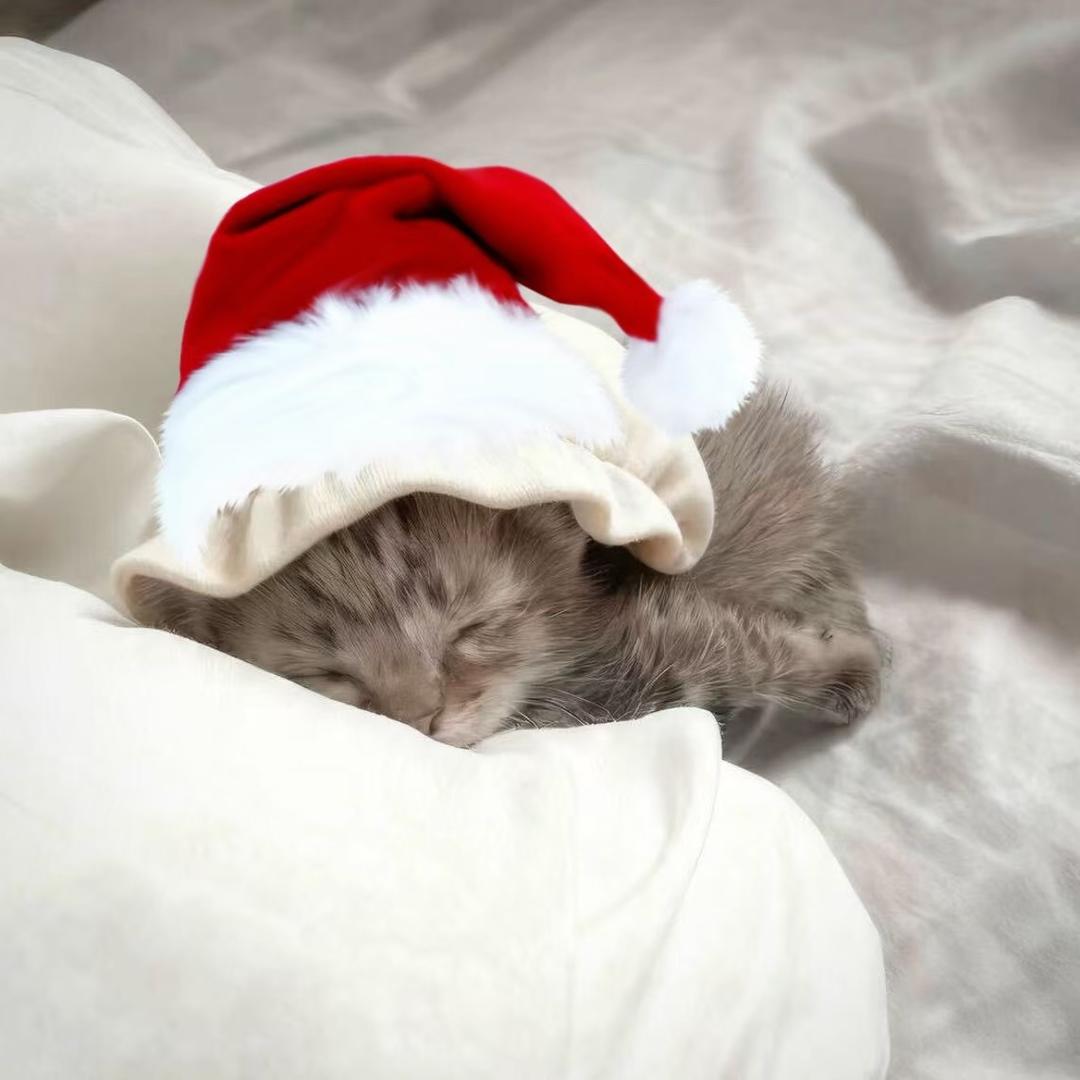困💤