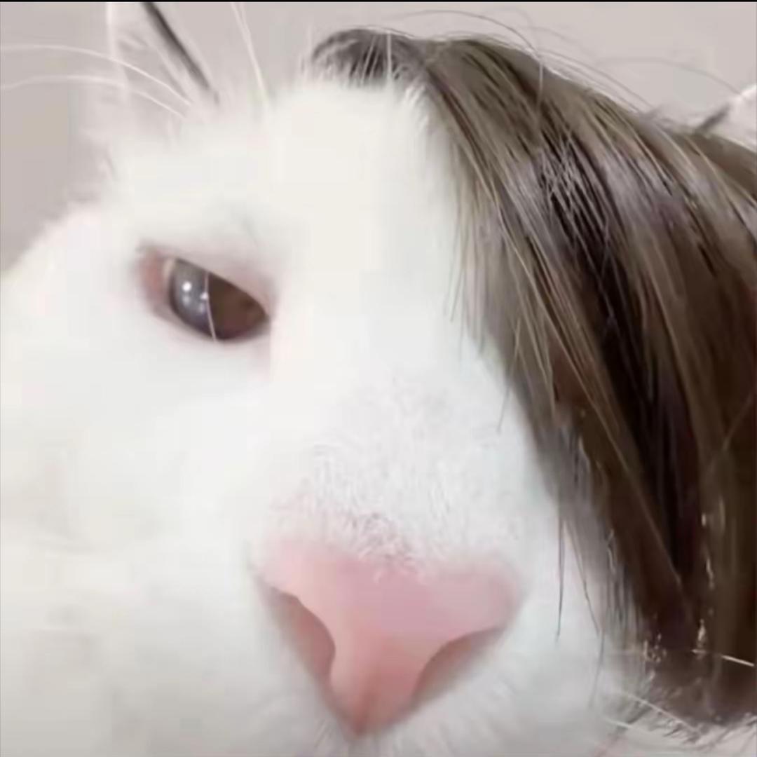 孙bia bia（唱变变变土到官方封号版