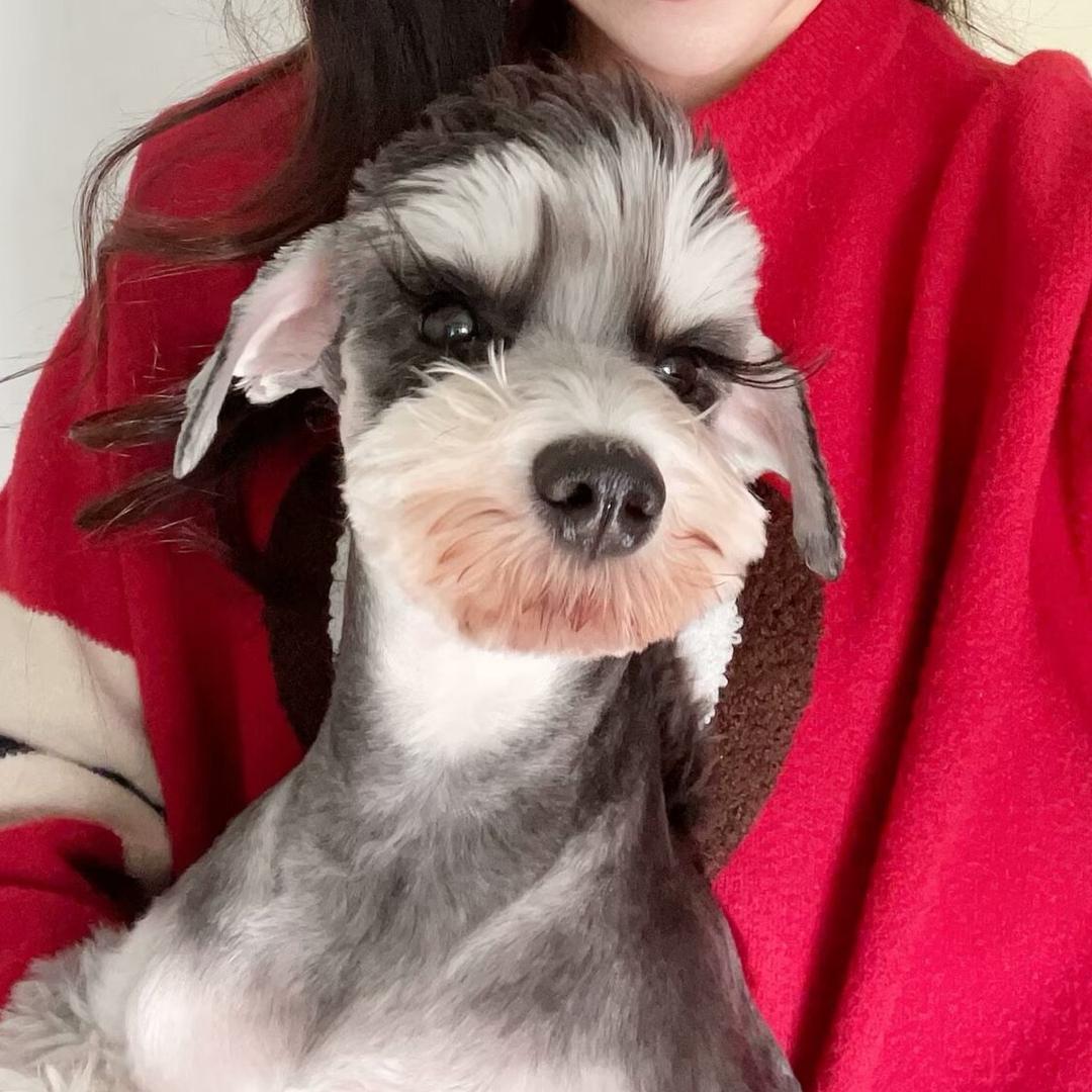 小狗艾米超爱吃