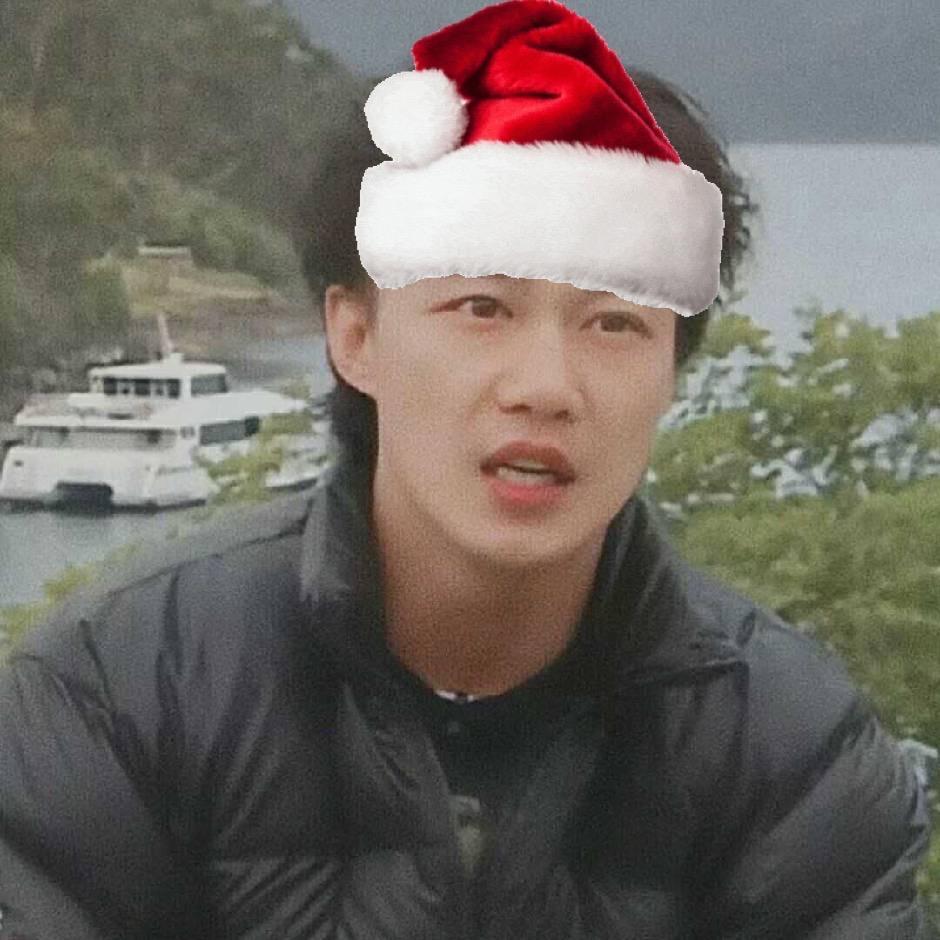 樊王木木.