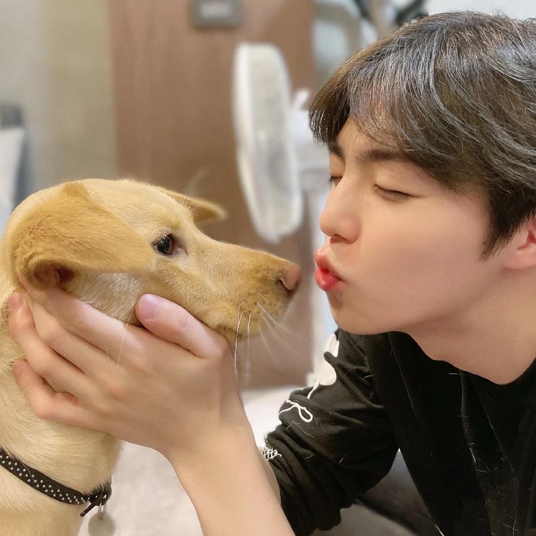 蛋挞超人🦸‍♀️