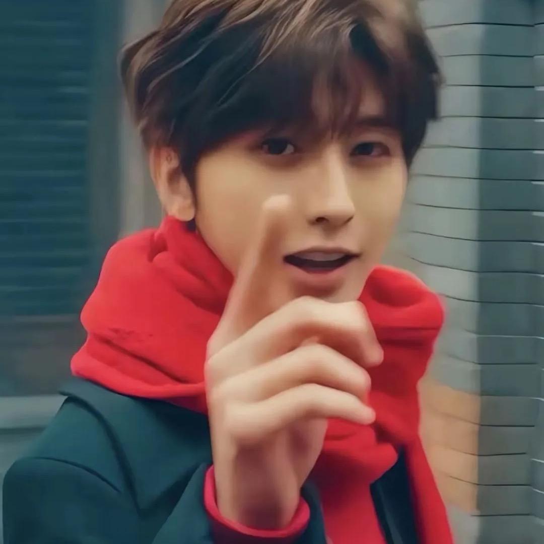 鱼猫猫在烤面包