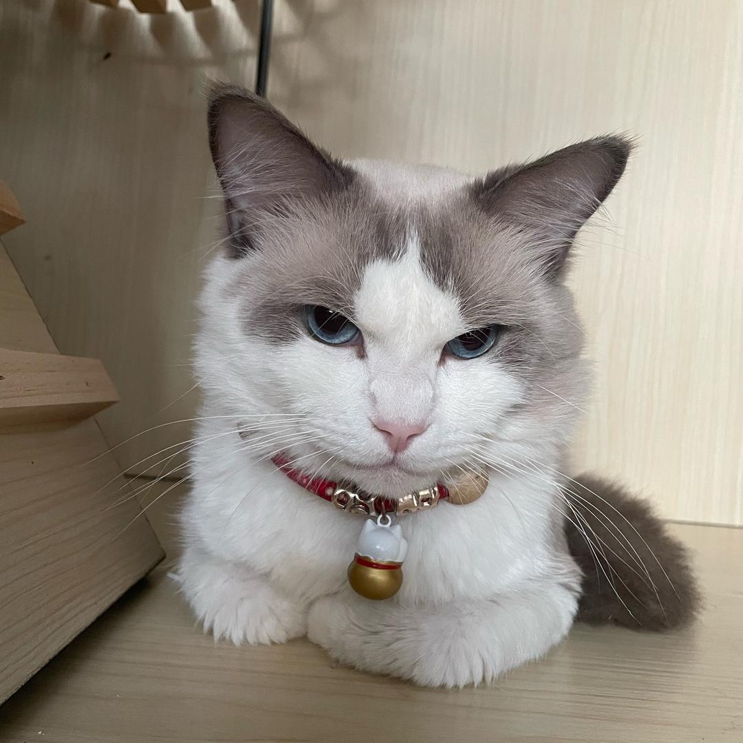 郴州鸿兴百货